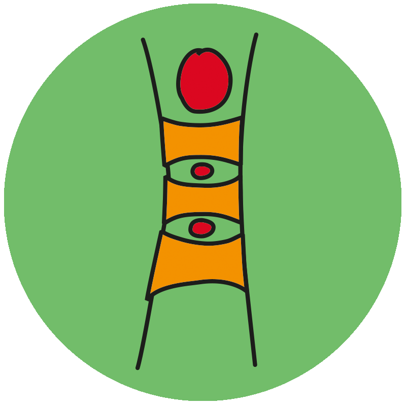 Maennchen Logo2